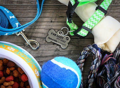 ReturnMe Pet Tag - ReturnMeTags
